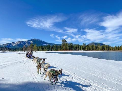 This Winter, Take A Dog Sled Tour Through The Snowy Landscape With Sierra Husky Tours In Northern California