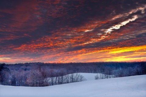 Make Like An Owl & Take A Night Hike At Cuyahoga Valley National Park Near Cleveland