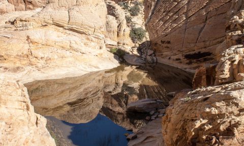 The Family-Friendly Hike To Calico Tanks In Nevada Combines Geology, History, And Breathtaking Beauty