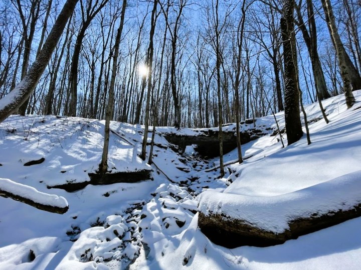 McCormick's Creek State Park