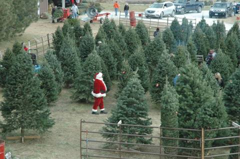 Take A Hayrack Ride Through An Idyllic Christmas Tree Farm At Santa's Woods In Nebraska