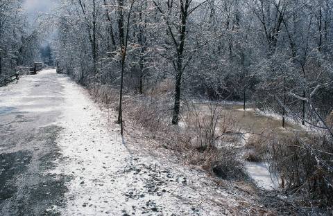 9 Picturesque Trails In Michigan That Are Perfect For Winter Hiking