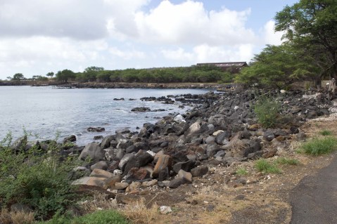 Swim With Sea Life In An Abandoned Harbor At Mahukona Beach In Hawaii