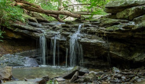 Harrison Hills Park In Pittsburgh Is So Well-Hidden, It Feels Like One Of The State's Best Kept Secrets