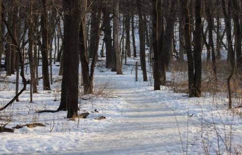 Hartman Reserve Nature Center In Iowa Is A Picture-Perfect Place For A Winter Day Hike