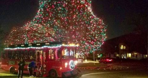 Take A Trolley Ride Through Millions Of Holiday Lights In Dallas, Texas This Season