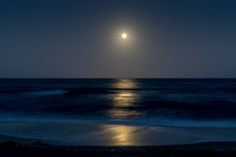 Marvel At The Night Sky On A Guided Moonlight Hike Through The Dunes Of Crane Beach In Massachusetts