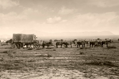 In 1846, The Hastings Cutoff Through Utah Was Deadly For The Donner Party