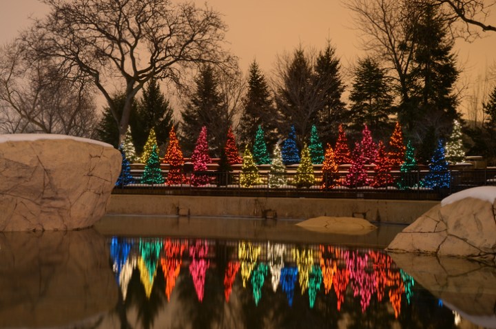 Zoolights Lincoln Park Zoo Illinois