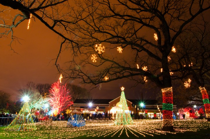 Zoolights Lincoln Park Zoo Illinois