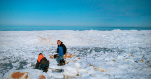 Stroll Among Frozen Sand Dunes And Sleep In A Cozy Cabin At Mears State Park In Michigan