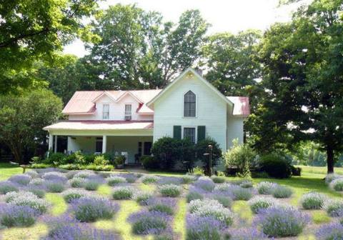 Enjoy A Relaxing Country Getaway When You Stay At The Mulberry Lavender Bed And Breakfast In Tennessee