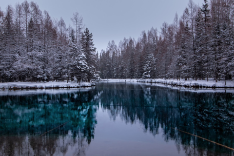 Michigan's Most Magical Natural Spring, Kitch-Iti-Kipi, Is Enchanting In The Winter