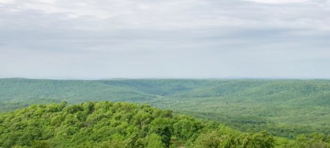 Most People Don't Know About The Hidden Beauty Inside Cookson Hills Wildlife Management Area In Oklahoma