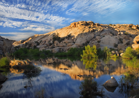 Cottonwood Spring Nature Trail Is An Easy Hike In Southern California That Will Lead You Someplace Unforgettable