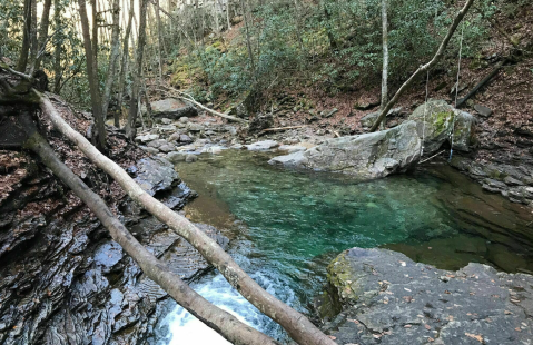 Virginia's Most Magical Natural Spring, Devil's Bathtub, Is Enchanting In The Winter