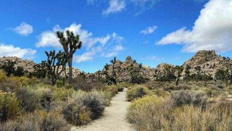 The Historic Wall Street Mill Is An Unexpected Discovery Along This Unique Hike In Southern California