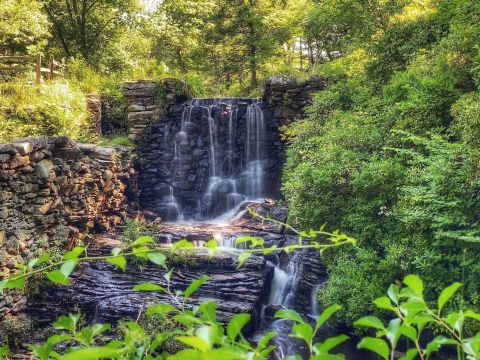 Take An Easy Loop Trail To Enter Another World At Eames Pond In Massachusetts