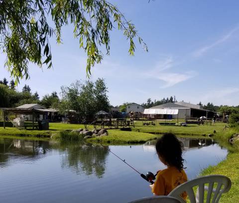 You'll Never Forget A Visit To Old McDebbie's Farm, A One-Of-A-Kind Farm Filled With Unique Animals In Washington