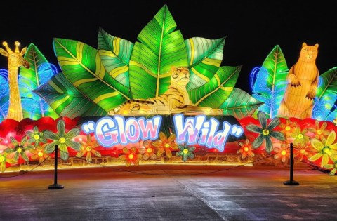 Watch Alabama's Birmingham Zoo Come Alive With Glow Wild: An Animal Lantern Celebration