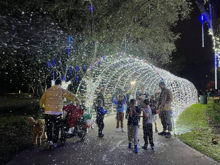 Santa in the Park Friendswood