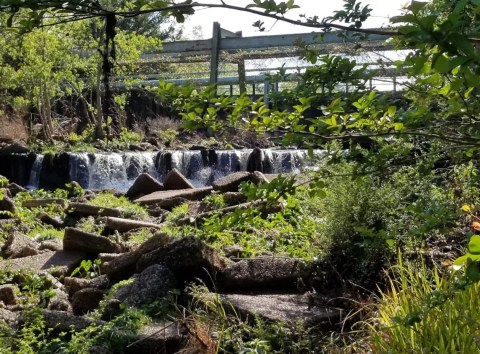 You Won't Need A Passport To Visit This Beautiful Japanese Garden In Alabama