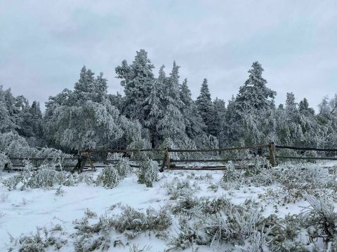 A Brisk Walk Through The Scenic Wallis Recreation Area In Wyoming Is Sure To Show You The Beauty Of Winter