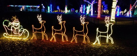 Take A Drive On The Wild Side This Holiday Season During Alabama's Safari Of Lights