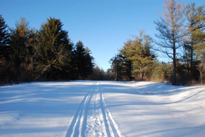 Snowmobile Tracks Illinois