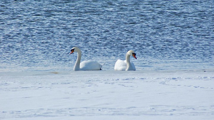 best winter festivals in wisconsin