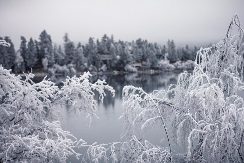 In 2017, Montana Plunged Into An Arctic Freeze That Makes This Year's Winter Look Downright Mild