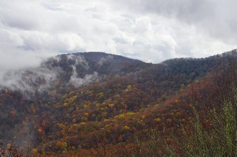 Warriors' Path State Park Is The Perfect Place For Any Outdoor Enthusiasts In Tennessee