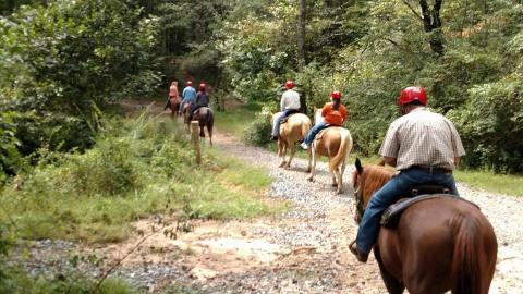 Visit Mountains & Waterfalls By Horseback On This Unique Tour In Georgia