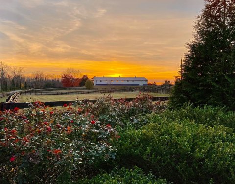 Spend A Lovely Day At Gauthier Vineyard, A Family-Run Winery Located On A Working Farm in Virginia