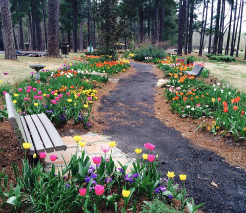 7 Breathtaking Parks In Louisiana That Showcase The Beauty Of Spring Every Year