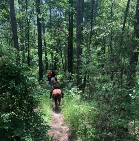 Visit The Kisatchie By Horseback On This Unique Tour In Louisiana