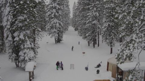 Explore The Majestic Winter Scenery This Season At Mt. Shasta Nordic Center In Northern California