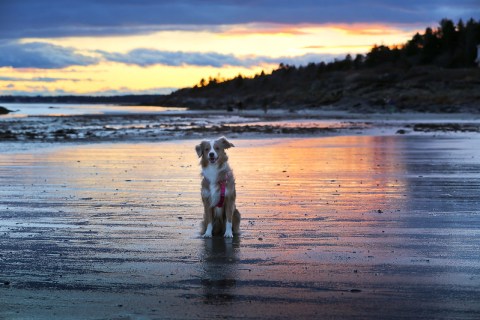 The Sunrises At Higgins Beach In Maine Are Worth Waking Up Early For