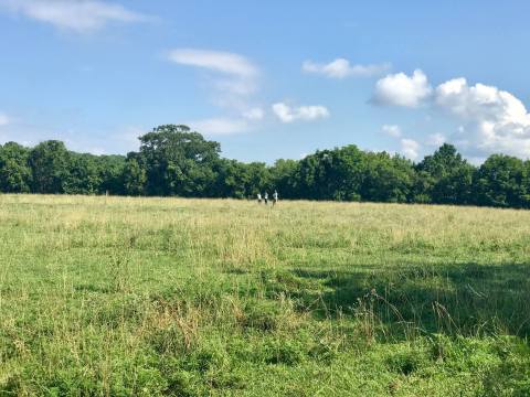 Mill Ridge Park Joins The Ranks As One Of Nashville's Newest City Parks