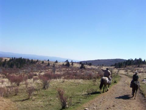 Spend The Night On A Horse Farm Tucked Away In The Blue Ridge Mountains At Rugby Creek In Virginia