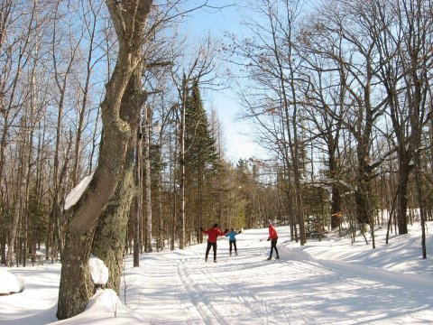 Cross-Country Ski Along Lighted Trails At Swedetown Recreation Area In Michigan