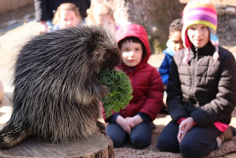 This Delaware Zoo Is Offering Free Admission Until March 2021