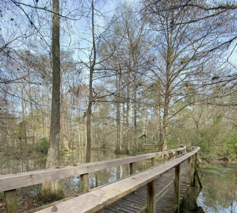 Beautiful Water Views Await You Along The Eagle Trail Near New Orleans