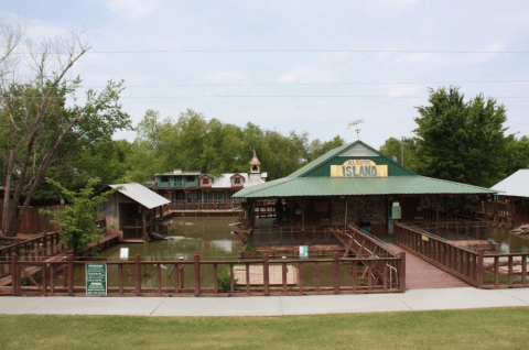 Wade With Gators At Gator Country Alligator Park In Louisiana