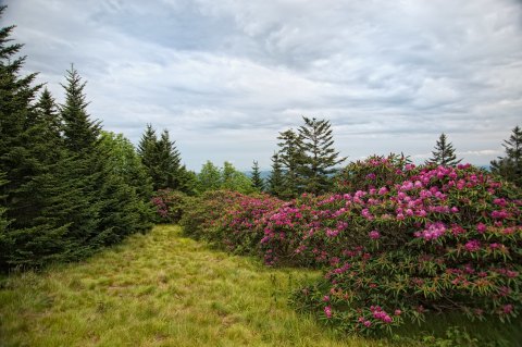 7 Breathtaking Parks In Tennessee That Showcase The Beauty Of Spring Every Year