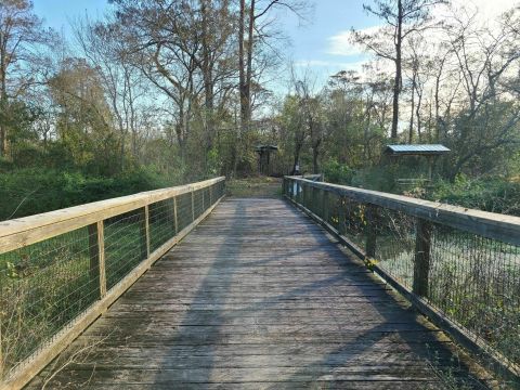 This Hidden Trail In Louisiana Leads To A Magnificent Archaeological Treasure