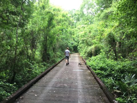 Lose Yourself In A Sea Of Emeralds At The Enchanting Tickfaw State Park In Louisiana