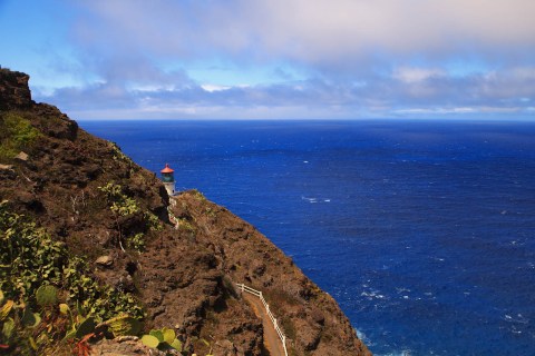 The Makapu’u Lighthouse Trail Might Just Be The Best Place To See Humpback Whales In Hawaii