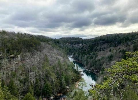 The Obed River Point Trail Offers Some Of The Most Secluded And Picturesque Views In Tennessee