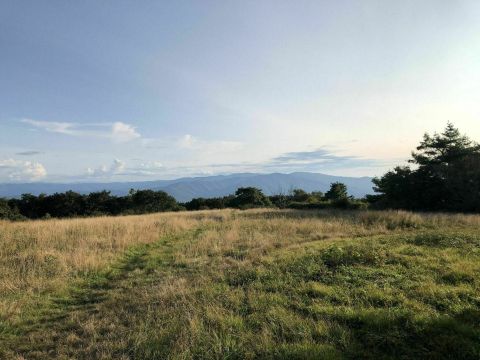 There Are Endless Scenic Views Along The Gregory Ridge Trail In The Great Smoky Mountains Of Tennessee